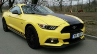 Mustang a hors1.jpg